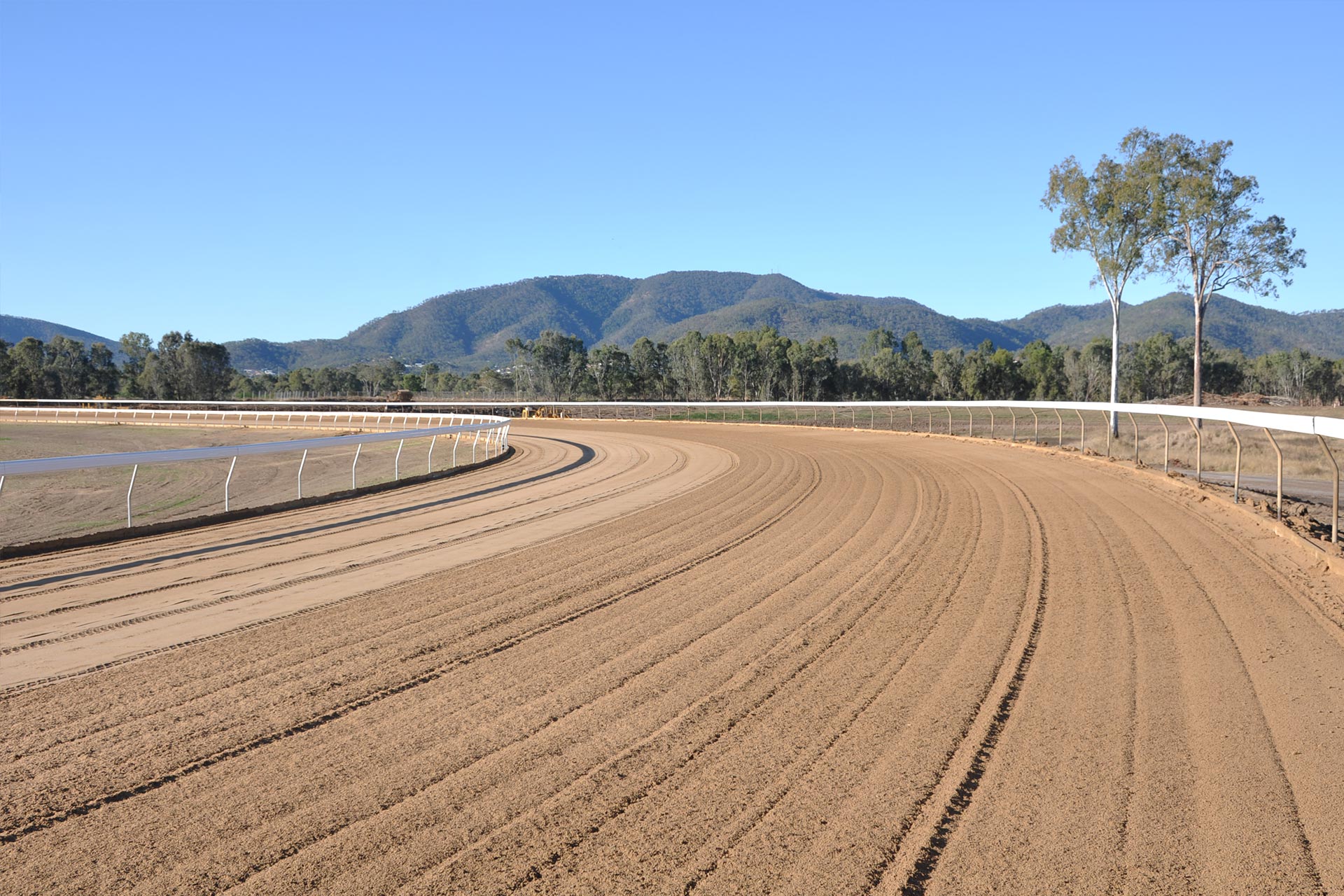 callaghan-park-racecourse-3