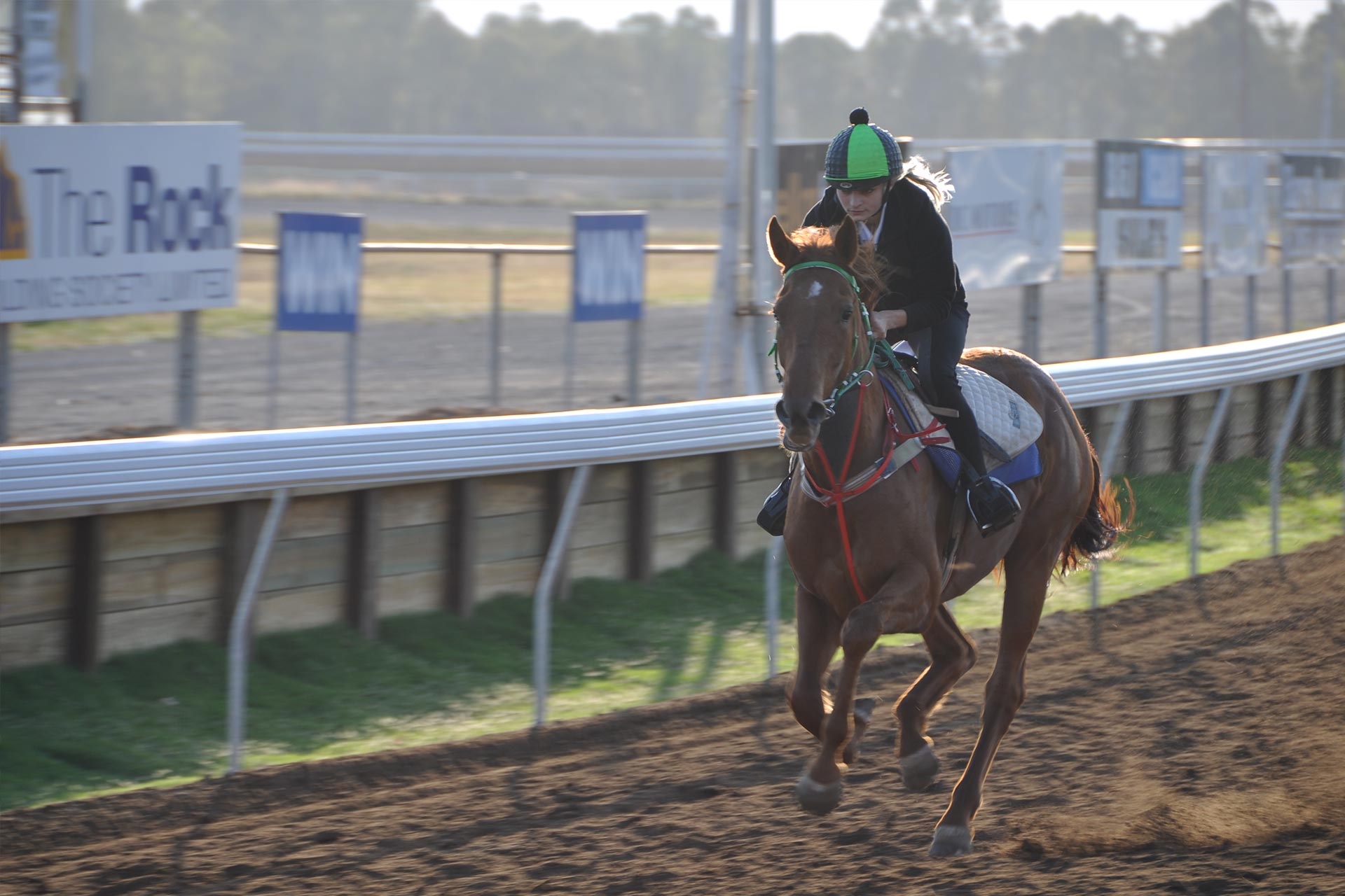 callaghan-park-racecourse-4